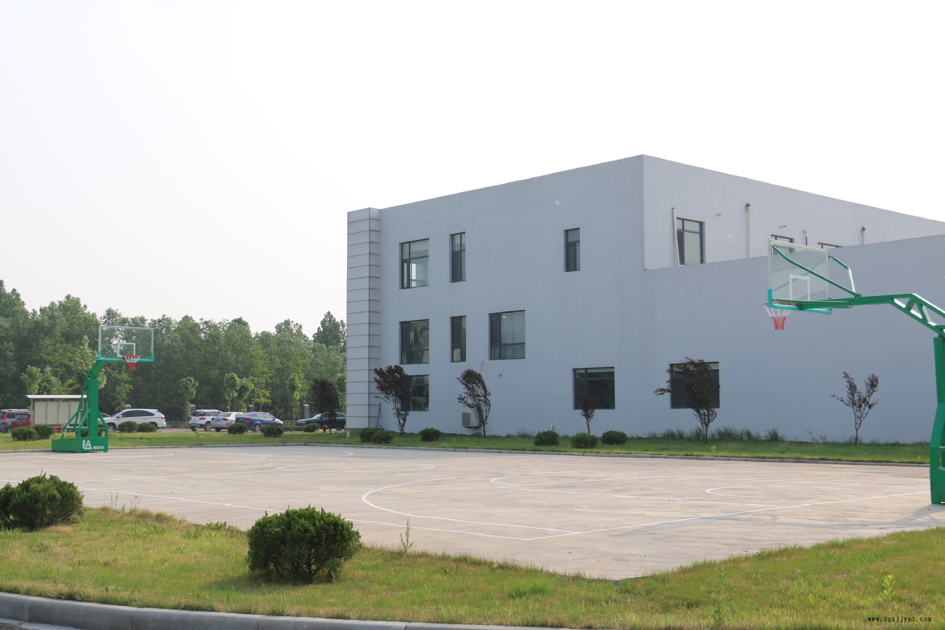 山東泛亞特供 TR-瀝青混合料增強劑 廠家直銷高粘瀝青粘合劑示例圖6