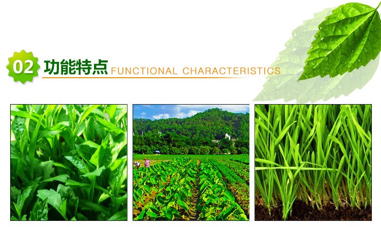 【廠家供應(yīng)】花木草坪增綠劑 葉綠素促進(jìn)劑增綠粉 植物生長調(diào)節(jié)劑示例圖3