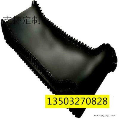 廠家生產(chǎn)PVC輸送帶 防靜電傳送帶 輸送皮帶線 注塑用輸送帶 機(jī)械手輸送帶鑫榮制造