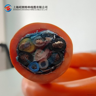 昭朔線纜機(jī)器人電纜/機(jī)器人動力電纜/機(jī)器人編碼器電纜/機(jī)械手控制電纜