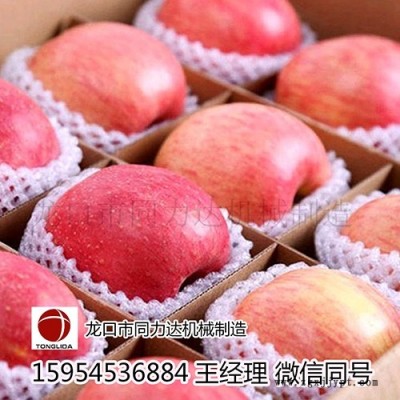 木瓜包裝網(wǎng)套機，蘋果網(wǎng)套機，珍珠棉機