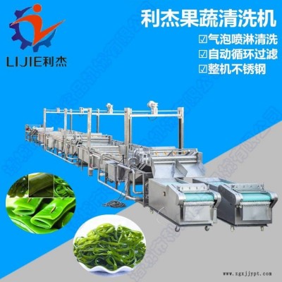利杰LJ-6000清洗機 果蔬清洗機 蔬菜清洗機 清洗機械 海帶全自動清洗機/機械手海帶專用清洗機/多功能清洗風干流水線
