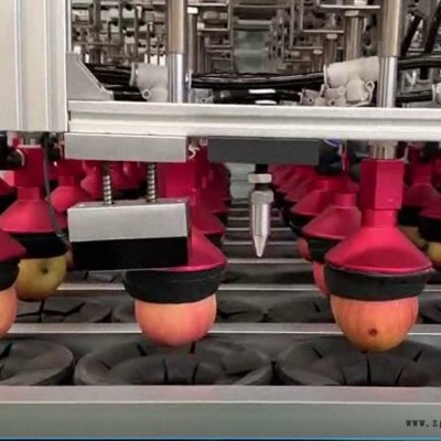 FIPASH定制軟包吸盤 機械手拆碼垛搬運用真空吸盤