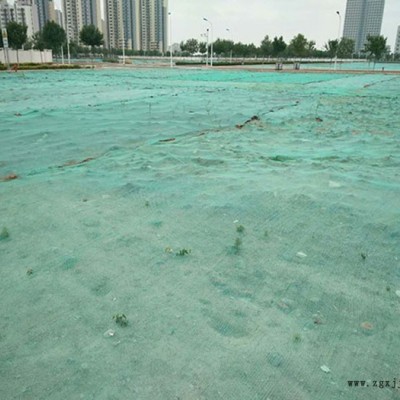 綠色蓋土網(wǎng)生產(chǎn)廠家聯(lián)系方式-姜艷云-普蘭店綠色蓋土網(wǎng)生產(chǎn)廠家