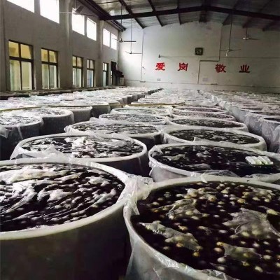 萬州區(qū)雙層圓桶-朗盛塑料-雙層圓桶使用方法