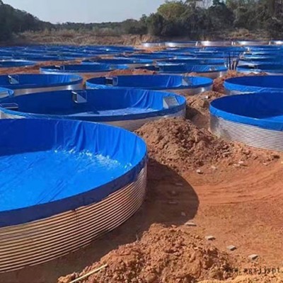 養(yǎng)殖水池布報(bào)價(jià)-杭州養(yǎng)殖水池布-查氏蓬布l防曬防潮