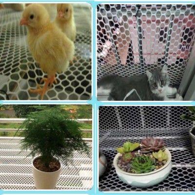 養(yǎng)殖網(wǎng)生產(chǎn)機(jī)器-山東洪力達(dá)塑料平網(wǎng)機(jī)-塑料養(yǎng)殖網(wǎng)生產(chǎn)機(jī)器