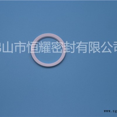 彈性泛塞封-恒耀密封(在線(xiàn)咨詢(xún))-湛江泛塞封