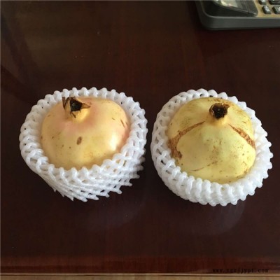 昆明番石榴網(wǎng)套機(jī)械價(jià)格