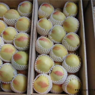 龍口云生網(wǎng)套機(jī)質(zhì)量好(圖)-奶油草莓發(fā)泡網(wǎng)機(jī)廠家-發(fā)泡網(wǎng)機(jī)