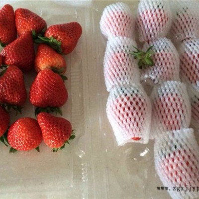 發(fā)泡網(wǎng)機價格-龍口云生包裝機械-發(fā)泡網(wǎng)機