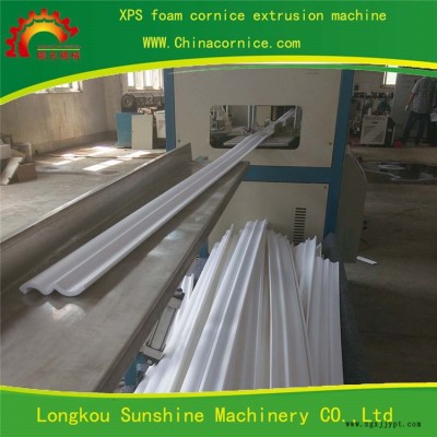 XPS泡沫線條設(shè)備加工-龍口陽光機(jī)械有實力-泡沫線條設(shè)備