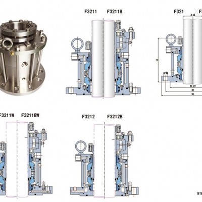 F321B系列型頂入攪拌器低、中壓集裝式密封