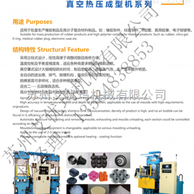 全自動真空平板硫化機供應(yīng)
